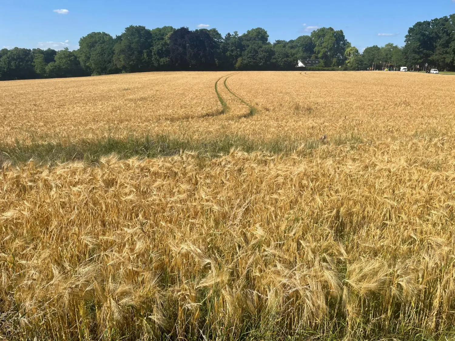 Elektro- und Instrumententechniker, der eine Drohne fliegt, um die Temperatur zu überprüfen und das elektrische System im Solarpanelbereich zu warten.